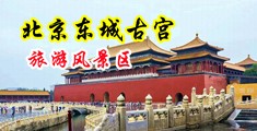 男女生在床上插滑轮插插免费中国北京-东城古宫旅游风景区